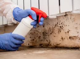 Best Black Mold Removal  in San Joaquin, CA